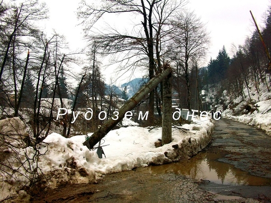 снимка: teacher.bg